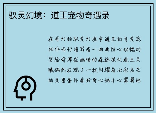 驭灵幻境：道王宠物奇遇录