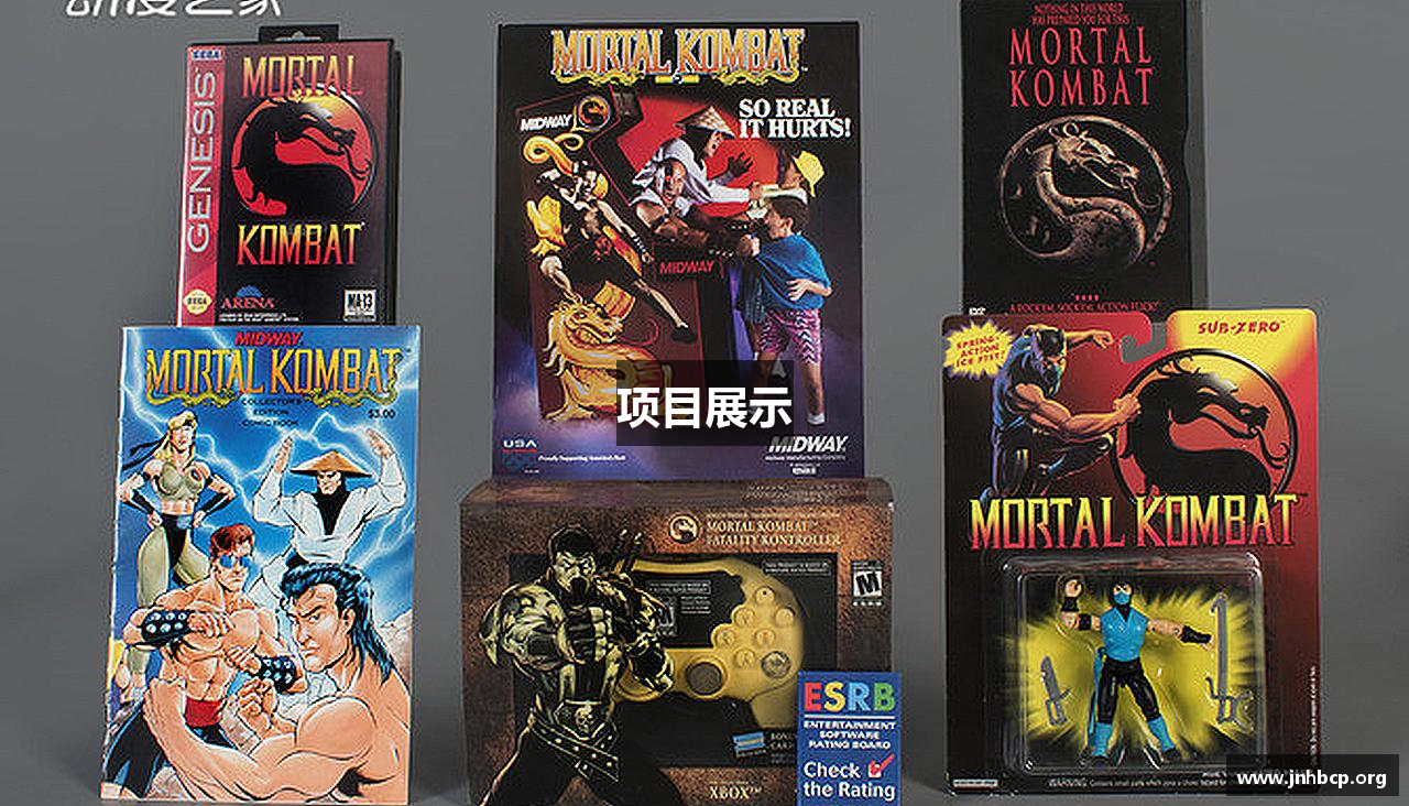 项目展示